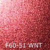 VbNF60-51 WNT