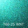 VbNT60-25 WNT